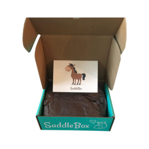 Horse Bridle Boxes