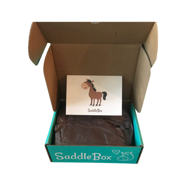Horse Bridle Boxes
